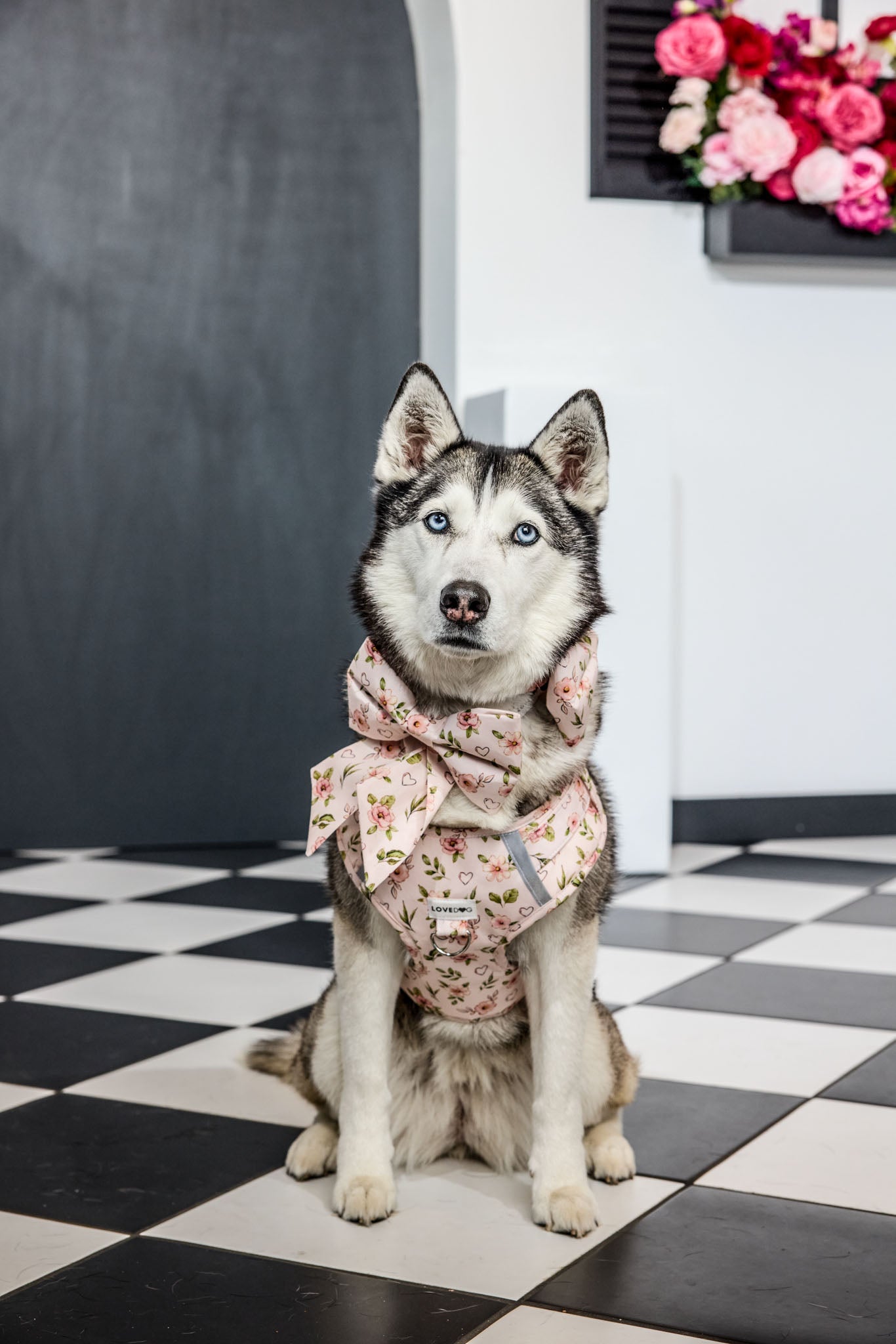 Rosie Blooms Dog Harness