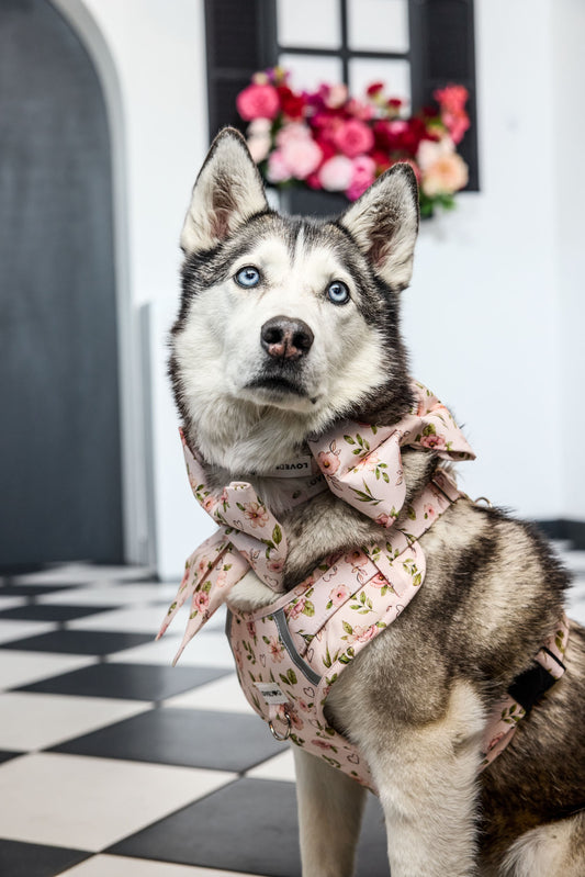 Rosie Blooms LUXIE Girlbow