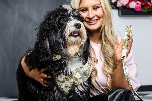 Suggestion


Woman holding a black and white dog with a floral bandana, smiling at the camera.
