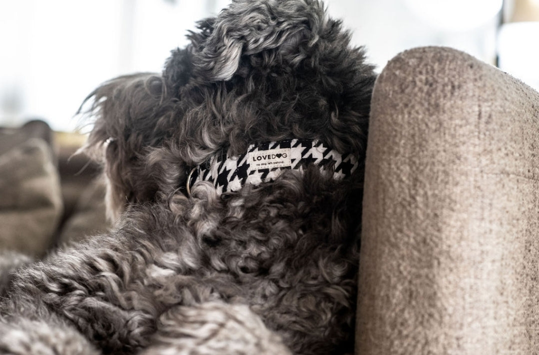 LOVEDOG Vintage B&W Houndstooth Wide Luxe Dog Collar – Chanel-Inspired Chic
