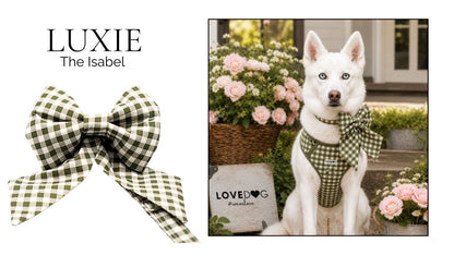 The Isabel Girlbow