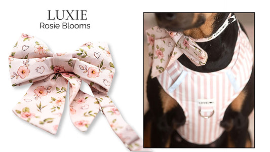 Rosie Blooms LUXIE Girlbow