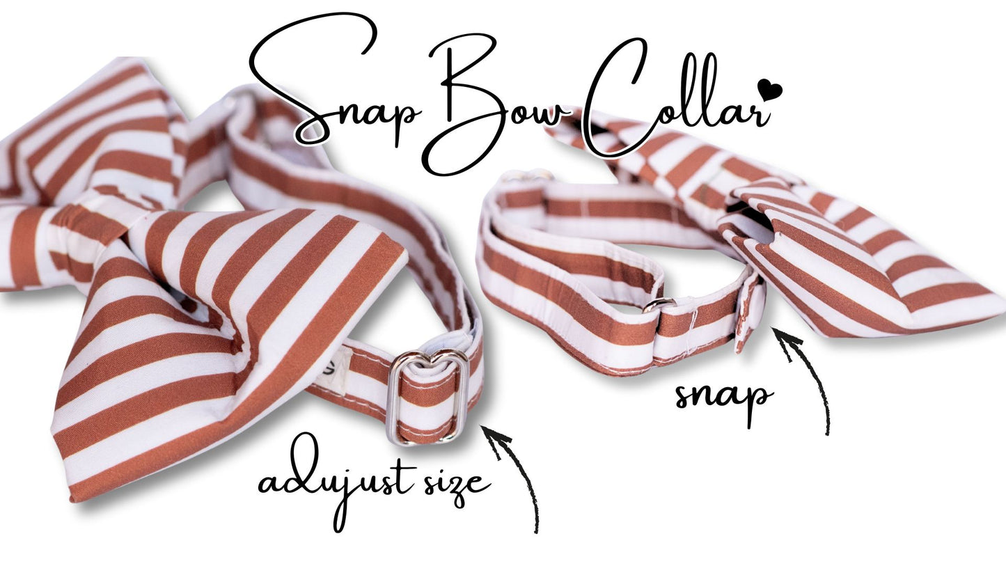 Nutmeg & Cream Boy SnapBow Collar