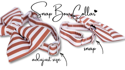 Nutmeg & Cream Boy SnapBow Collar