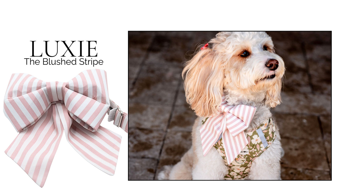 Blushed Stripe Girlbow