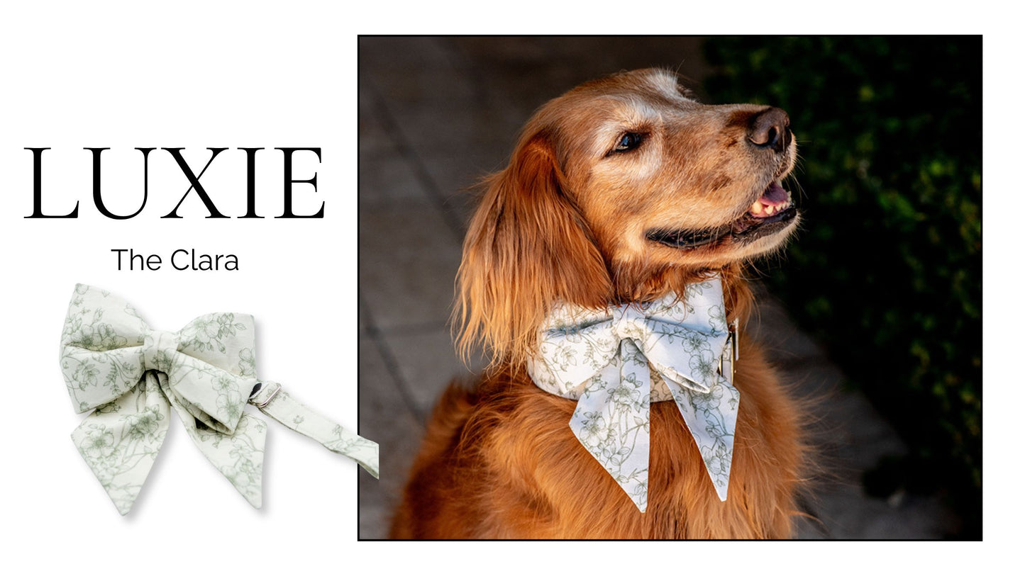 The Clara LUXIE Girlbow