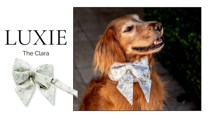 The Clara LUXIE Girlbow