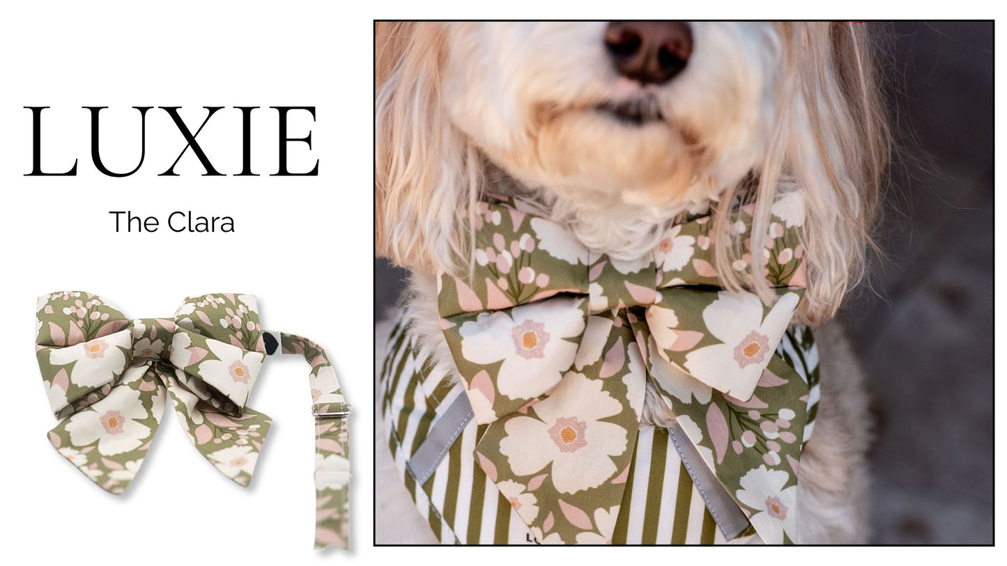 The Victoria LUXIE Girlbow
