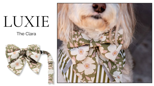 The Victoria LUXIE Girlbow