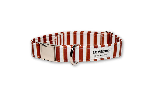 Nutmeg & Cream Dog Collar