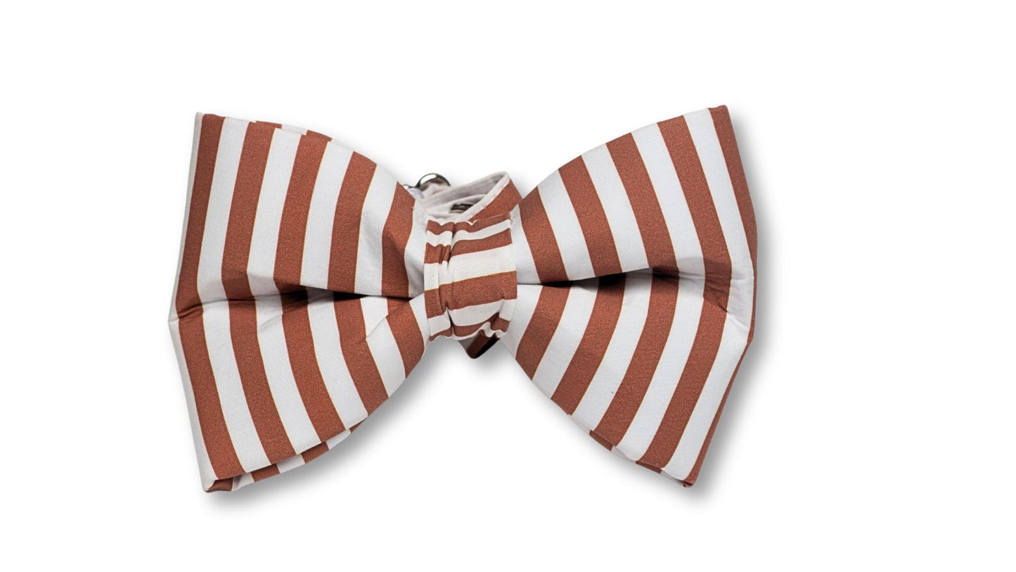 Nutmeg & Cream Boy SnapBow Collar