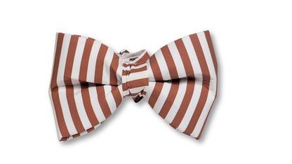 Nutmeg & Cream Boy SnapBow Collar