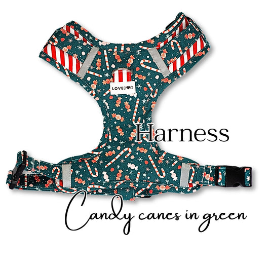 Harness Candy Canes in Green