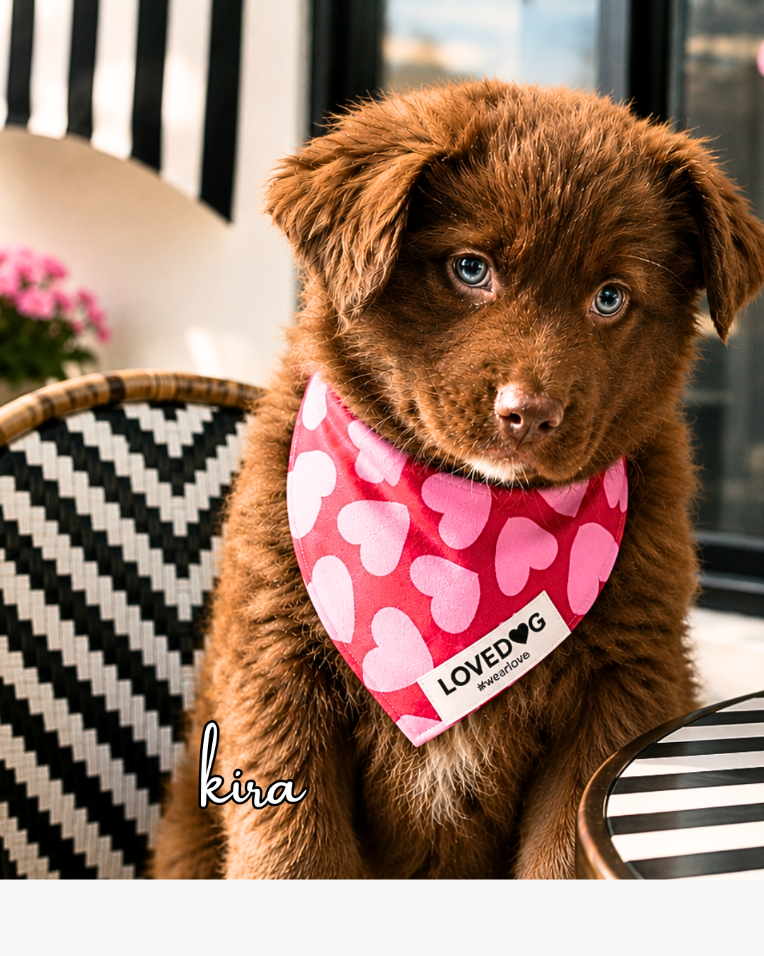 Heart Of Rescue Bandana