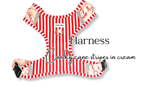 Red & White Striped Harness W/ Candy Canes in Cream