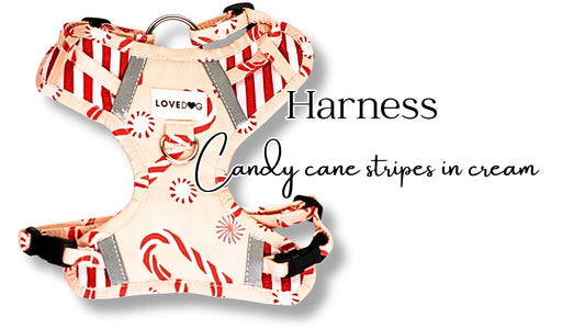 Dog Harness Candy Canes in Cream
