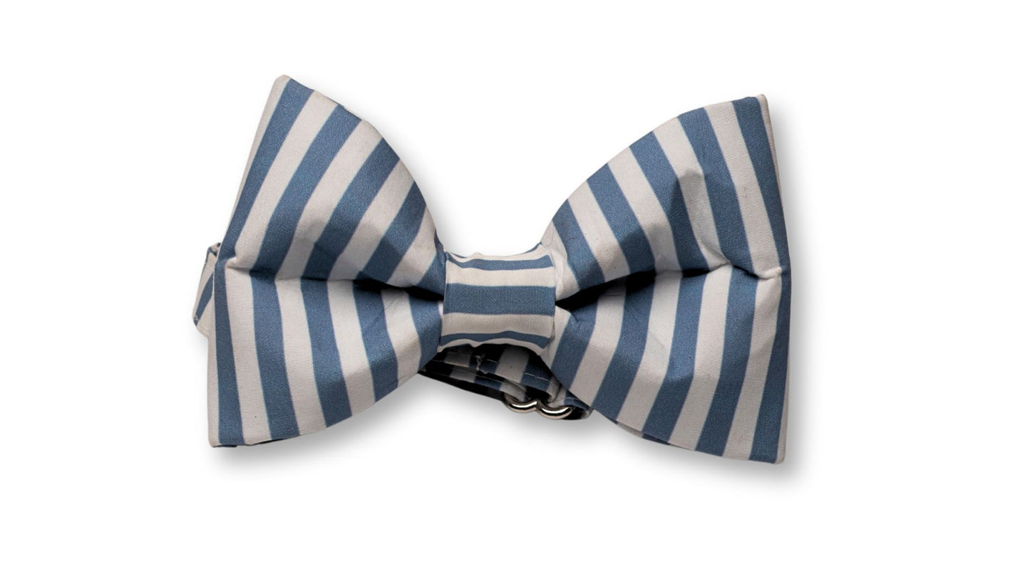 Boy Dog SnapBow Collar