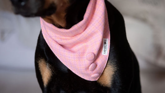 5th Avenue Bandana