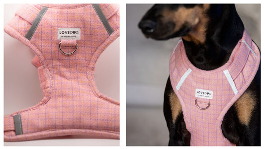 5th Avenue Harness