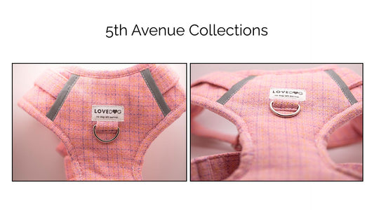 5th Avenue Harness