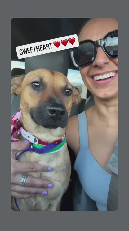 The Rescued Heart Bandana