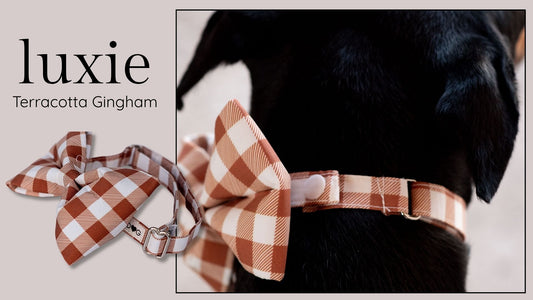 Nutmeg & Cream GirlBow