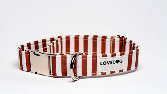 Nutmeg & Stripes Collar