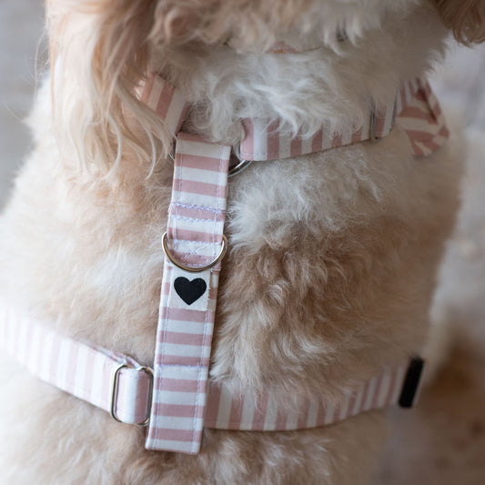 The Blushed Stripe Dog Harness